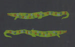 AlphaGator